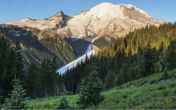 Transform Ordinary Landscapes into Breathtaking Views - Before