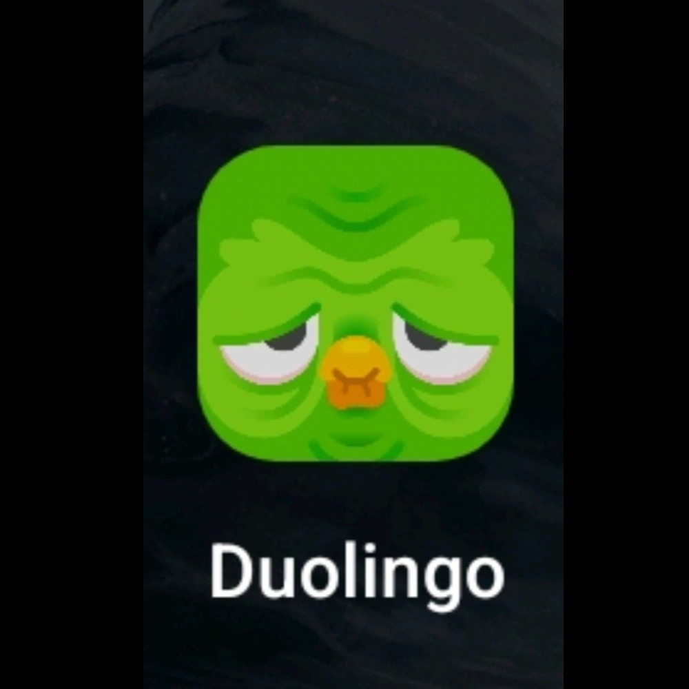 duolingo-exhausted