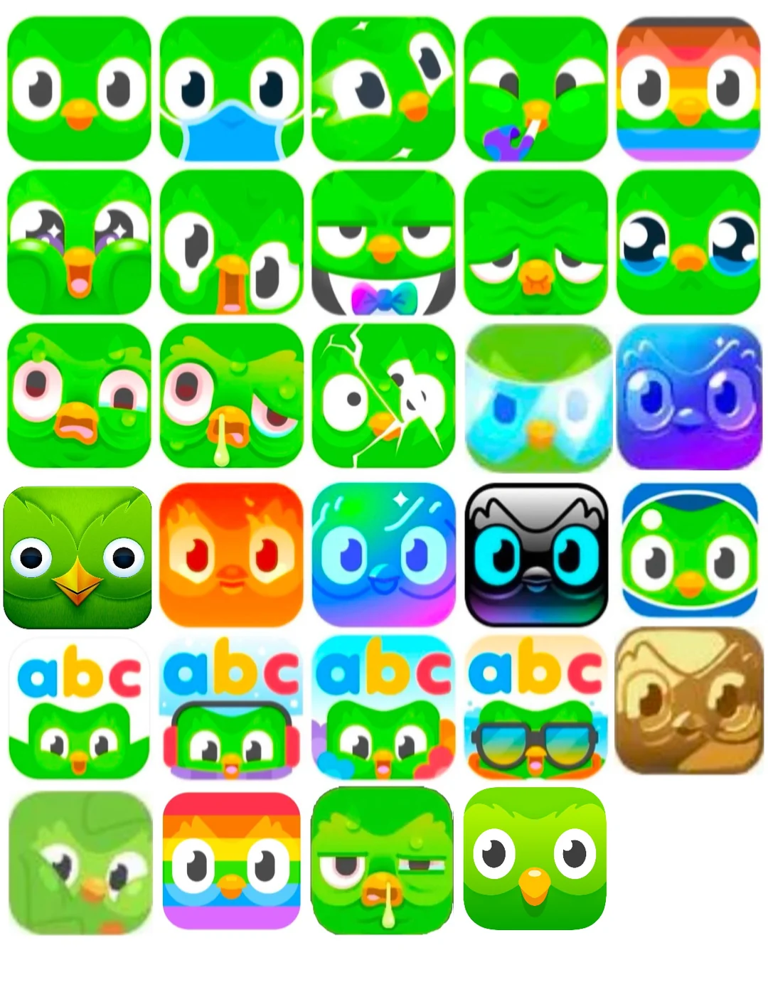 Duolingo icon picture