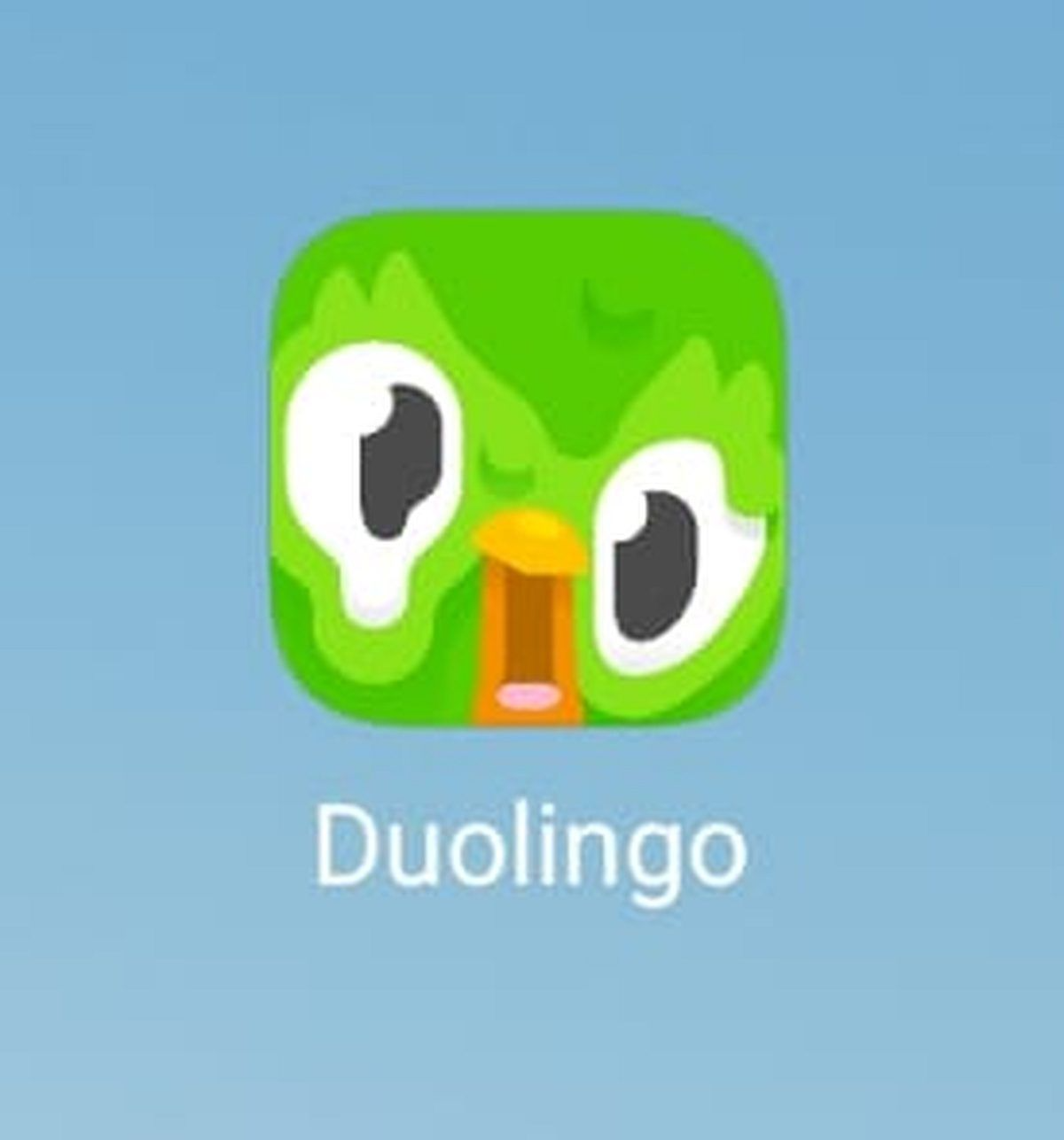 duolingo-melting