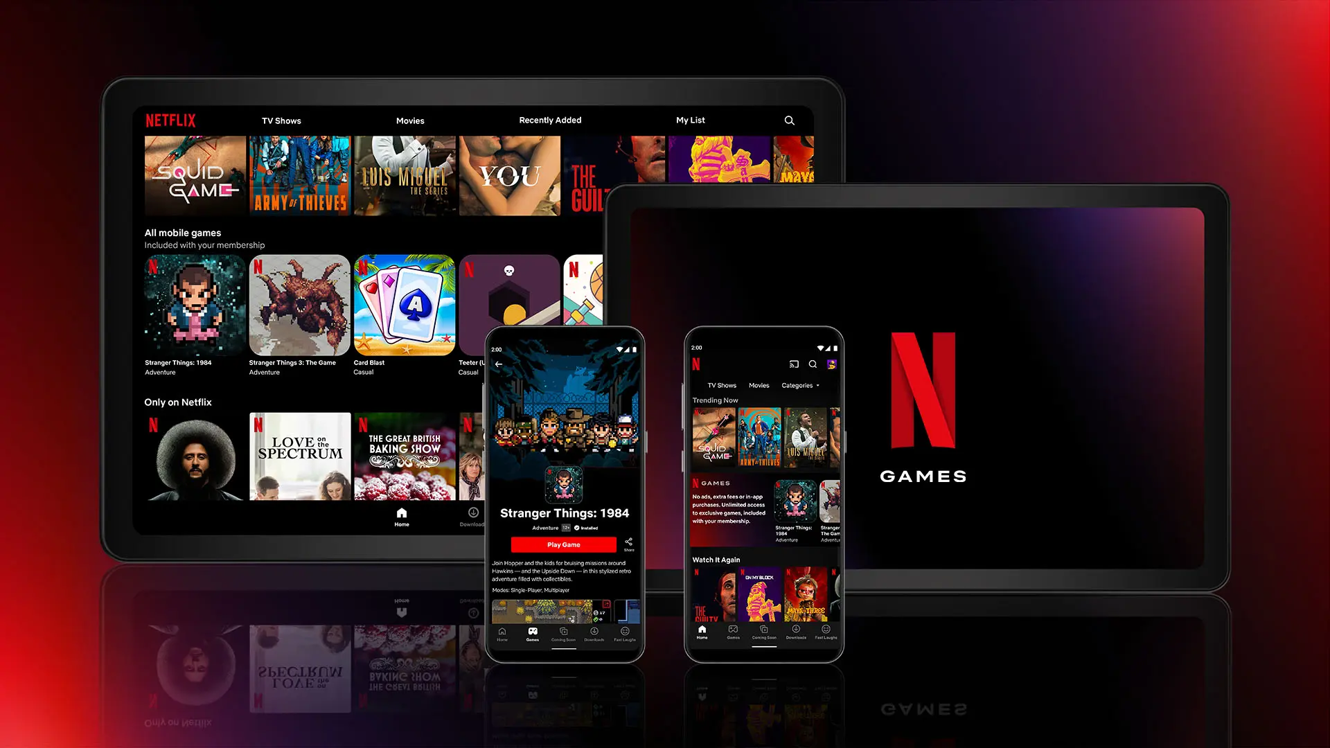 Netflix Platform Overview